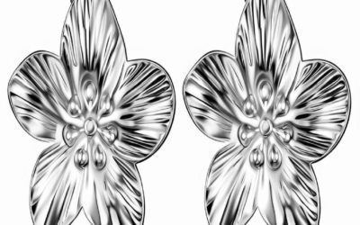 Boucles d’oreilles  Fleurs Argenté